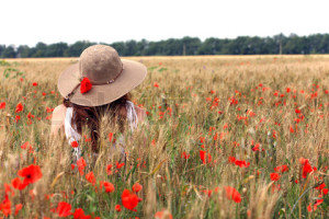 girl on a wheat field